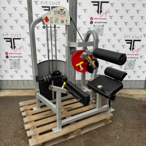 Strive Low Back Extension